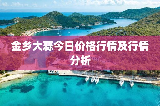 金乡大蒜今日价格行情及行情分析