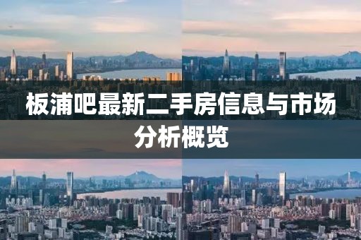 板浦吧最新二手房信息与市场分析概览