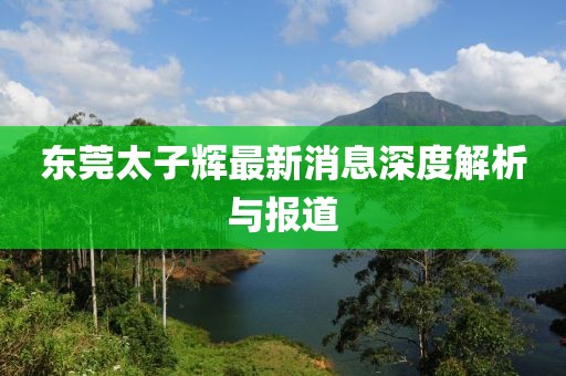 东莞太子辉最新消息深度解析与报道