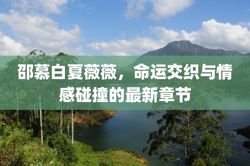 邵慕白夏薇薇，命运交织与情感碰撞的最新章节