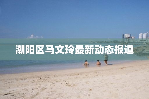 潮阳区马文玲最新动态报道