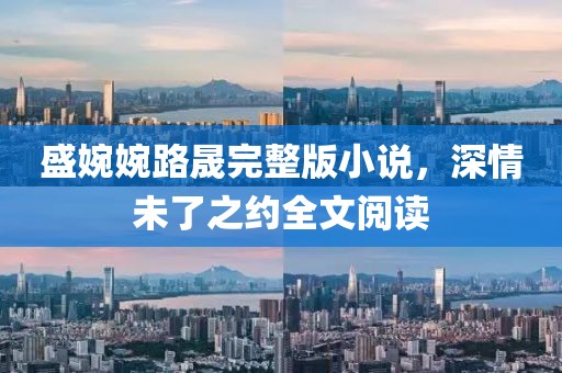 盛婉婉路晟完整版小说，深情未了之约全文阅读