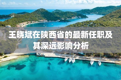 王晓斌在陕西省的最新任职及其深远影响分析
