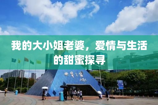 我的大小姐老婆，爱情与生活的甜蜜探寻