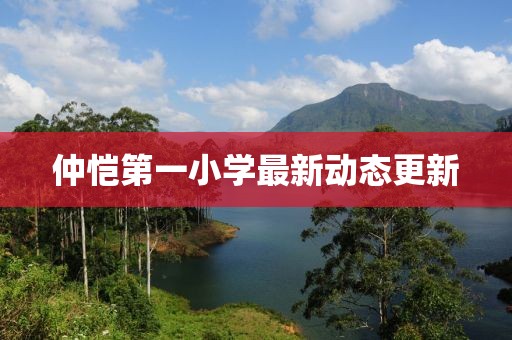 仲恺第一小学最新动态更新
