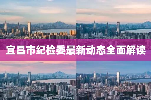 宜昌市纪检委最新动态全面解读