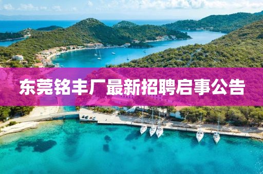 东莞铭丰厂最新招聘启事公告