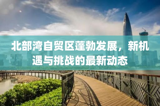 北部湾自贸区蓬勃发展，新机遇与挑战的最新动态
