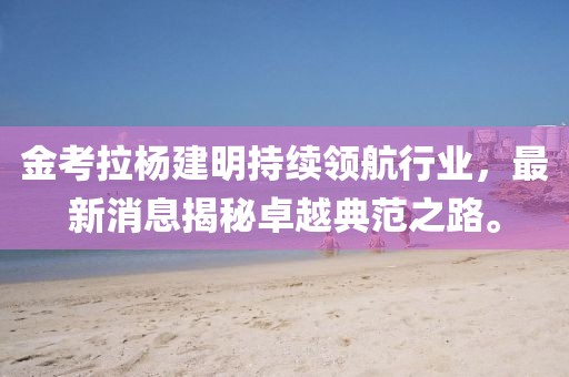 金考拉杨建明持续领航行业，最新消息揭秘卓越典范之路。