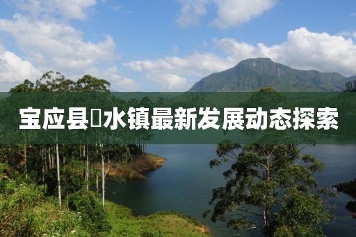 宝应县氾水镇最新发展动态探索