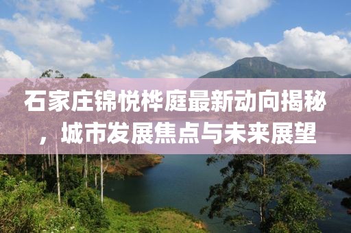 石家庄锦悦桦庭最新动向揭秘，城市发展焦点与未来展望