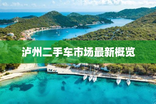 泸州二手车市场最新概览