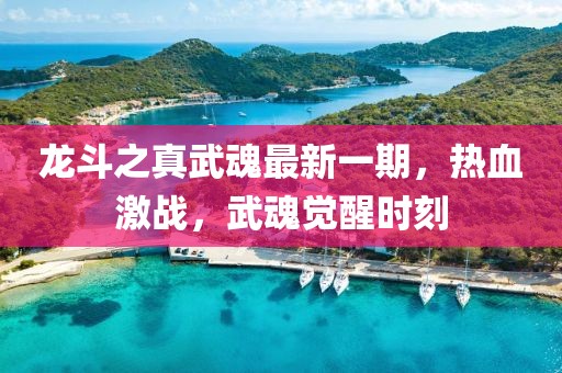 龙斗之真武魂最新一期，热血激战，武魂觉醒时刻