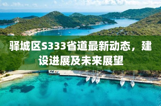 驿城区S333省道最新动态，建设进展及未来展望