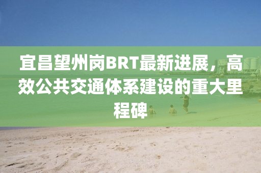 宜昌望州岗BRT最新进展，高效公共交通体系建设的重大里程碑