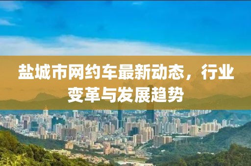 盐城市网约车最新动态，行业变革与发展趋势