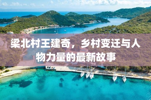 梁北村王建奇，乡村变迁与人物力量的最新故事