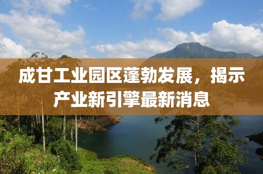 成甘工业园区蓬勃发展，揭示产业新引擎最新消息