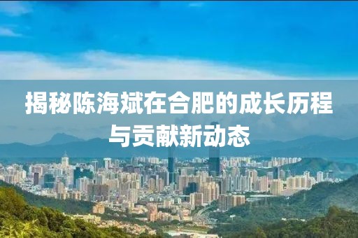 揭秘陈海斌在合肥的成长历程与贡献新动态
