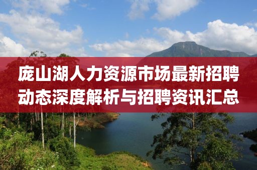 庞山湖人力资源市场最新招聘动态深度解析与招聘资讯汇总