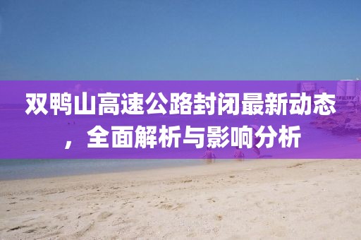 双鸭山高速公路封闭最新动态，全面解析与影响分析
