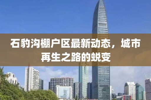 石豹沟棚户区最新动态，城市再生之路的蜕变