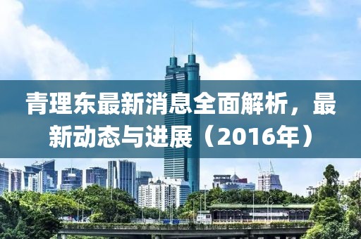 青理东最新消息全面解析，最新动态与进展（2016年）