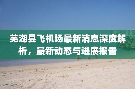 芜湖县飞机场最新消息深度解析，最新动态与进展报告