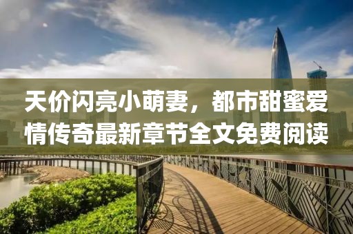 天价闪亮小萌妻，都市甜蜜爱情传奇最新章节全文免费阅读