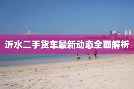 沂水二手货车最新动态全面解析