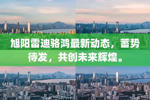 旭阳雷迪骆鸿最新动态，蓄势待发，共创未来辉煌。