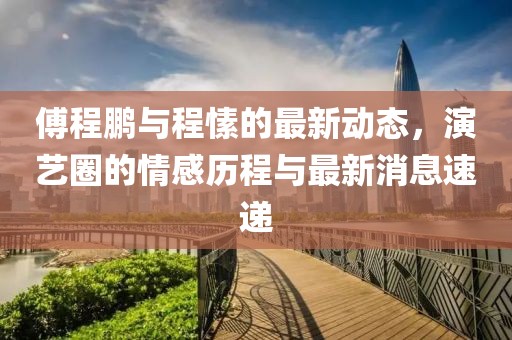 傅程鹏与程愫的最新动态，演艺圈的情感历程与最新消息速递