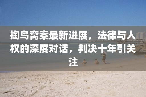 掏鸟窝案最新进展，法律与人权的深度对话，判决十年引关注