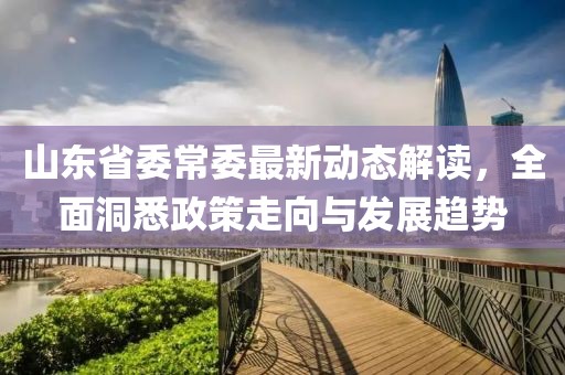 山东省委常委最新动态解读，全面洞悉政策走向与发展趋势