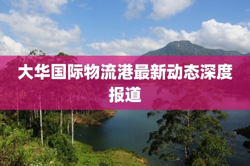 大华国际物流港最新动态深度报道