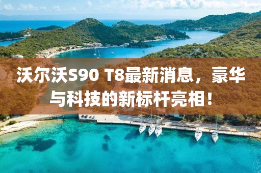 沃尔沃S90 T8最新消息，豪华与科技的新标杆亮相！