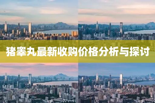 猪睾丸最新收购价格分析与探讨