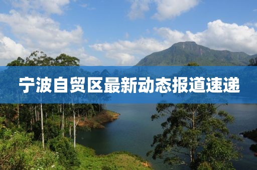宁波自贸区最新动态报道速递