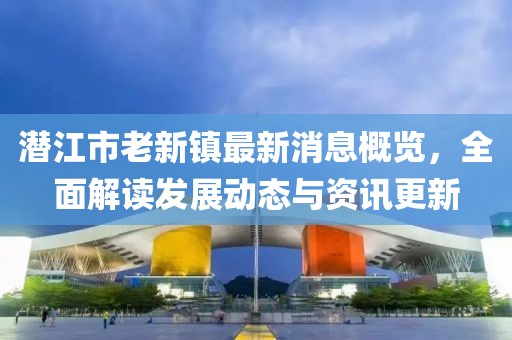 潜江市老新镇最新消息概览，全面解读发展动态与资讯更新