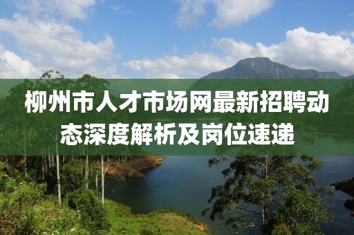 柳州市人才市场网最新招聘动态深度解析及岗位速递