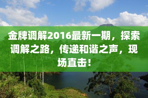 金牌调解2016最新一期，探索调解之路，传递和谐之声，现场直击！