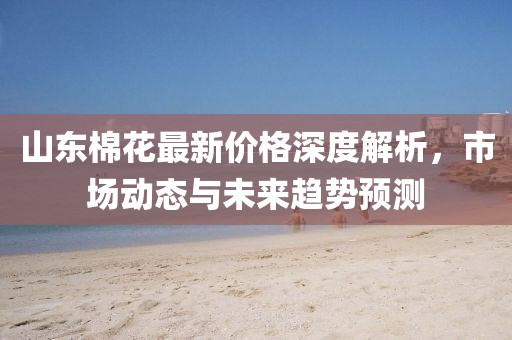 山东棉花最新价格深度解析，市场动态与未来趋势预测