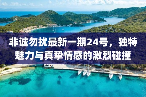 非诚勿扰最新一期24号，独特魅力与真挚情感的激烈碰撞