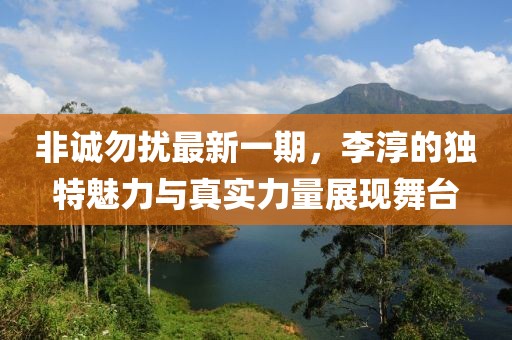 非诚勿扰最新一期，李淳的独特魅力与真实力量展现舞台