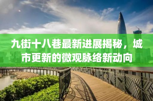 九街十八巷最新进展揭秘，城市更新的微观脉络新动向