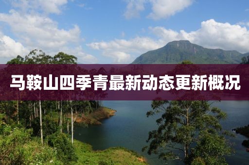 马鞍山四季青最新动态更新概况