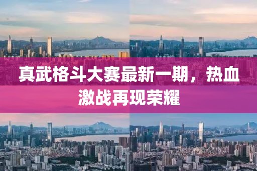 真武格斗大赛最新一期，热血激战再现荣耀