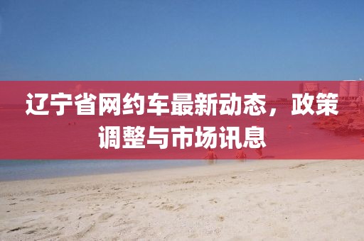 辽宁省网约车最新动态，政策调整与市场讯息
