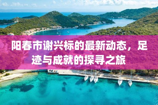 阳春市谢兴标的最新动态，足迹与成就的探寻之旅