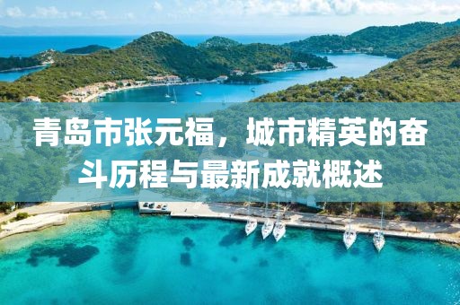 青岛市张元福，城市精英的奋斗历程与最新成就概述